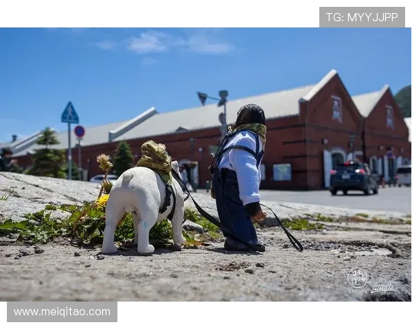 小庞与詹姆斯第三季命运交织的都市励志追梦成长传奇故事