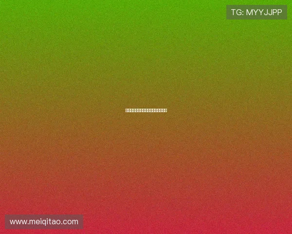 旋风速度全集:重燃你的速度与激情!